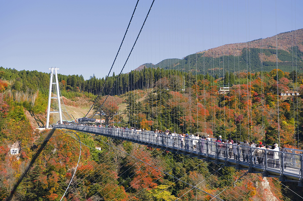 夢大吊橋